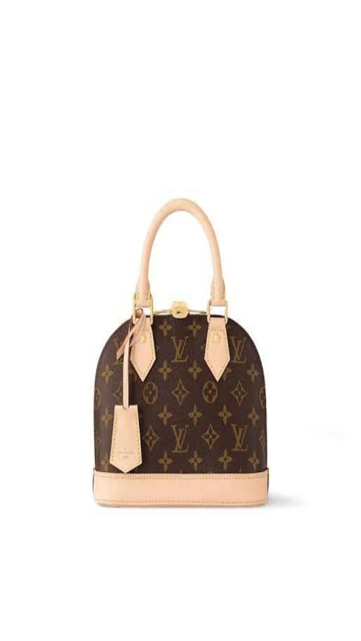 Louis Vuitton Medium